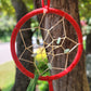 Handmade Dreamcatchers